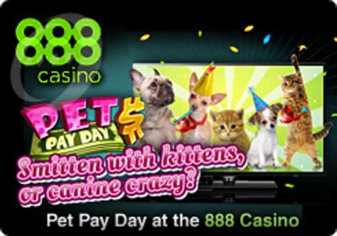 Pets 888 Casino